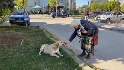 Місцеві мешканці підгодовують собаку, травень 2026 року, Хмельниччина Місцеві мешканці підгодовують собаку, травень 2026 року, Хмельниччина