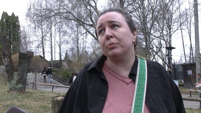 Чотири види кажанів після реабілітації випустили на волю у Рівному