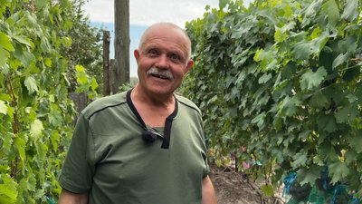 «На картоплі вбиваєшся, а тут і сили додається»: на Чернігівщині подружжя пенсіонерів на городі вирощує виноград