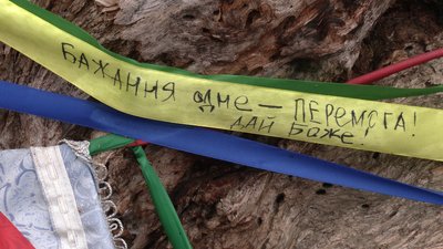 У селі на Рівненщині обв'язують стовбур Цар-дерева кольоровими стрічками. Що означає ця традиція