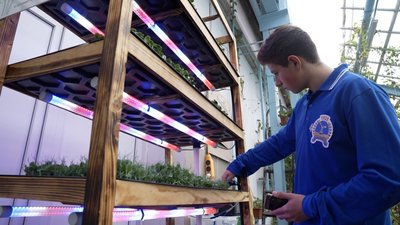Вирощують та продають для ЗСУ. Як учні вінницького ліцею розводять мікрогрін Вирощують та продають для ЗСУ. Як учні вінницького ліцею розводять мікрогрін