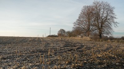 Село без жителів. Веселе може зникнути з мап Рівненщини Село без жителів. Веселе може зникнути з мап Рівненщини