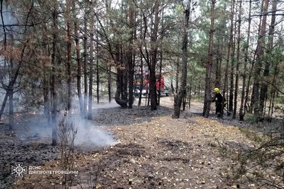 Атака БпЛА на Криворіжжі, погода. Головні новини Дніпра та області 7 листопада Атака БпЛА на Криворіжжі, погода. Головні новини Дніпра та області 7 листопада