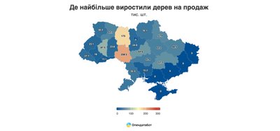 Утилізація ялинок у Житомирі: де і як здати новорічне дерево до 1 лютого