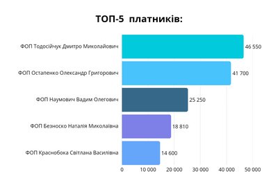 МАФи, прокат та солодка вата: які підприємці працюють у парках Житомира та скільки сплачують за оренду МАФи, прокат та солодка вата: які підприємці працюють у парках Житомира та скільки сплачують за оренду