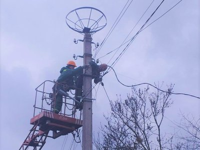 На Рівненщині встановляють безпечні домівки для лелек На Рівненщині встановляють безпечні домівки для лелек