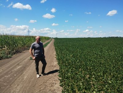 Посуха вплинула на врожай: Кіровоградщина може втратити до 30% зернових Посуха вплинула на врожай: Кіровоградщина може втратити до 30% зернових