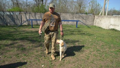 Шукають людей, допомагають військовим і дітям: як працюють службові собаки поліції Кіровоградщини Шукають людей, допомагають військовим і дітям: як працюють службові собаки поліції Кіровоградщини