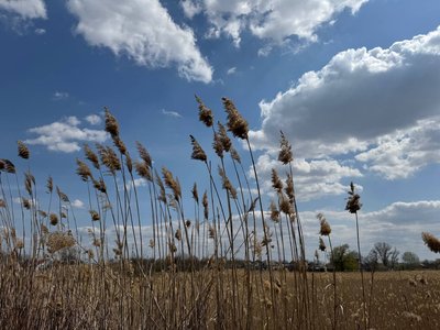 "Водойми — це дуже вразливі екосистеми". Чому на Дніпропетровщині зникають озера та чи можливо їх відновити "Водойми — це дуже вразливі екосистеми". Чому на Дніпропетровщині зникають озера та чи можливо їх відновити