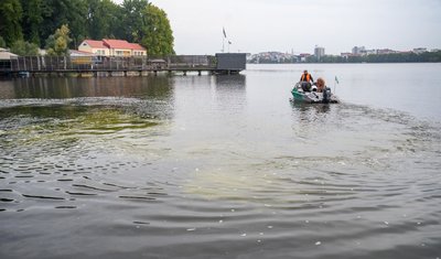 У став вносять водорості хлорели, став, водойма, екологія, 26 версеня 2026, Тернопіль У став вносять водорості хлорели, став, водойма, екологія, 26 версеня 2026, Тернопіль
