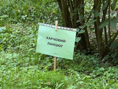 В Ужгороді волонтери провели квест "Лісовий патруль" для дітей В Ужгороді волонтери провели квест "Лісовий патруль" для дітей
