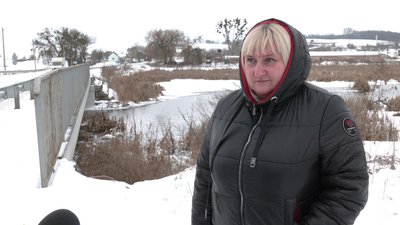 Понад пів сотні лебедів залишились зимувати на річці Устя у Великому Олексині на Рівненщині Понад пів сотні лебедів залишились зимувати на річці Устя у Великому Олексині на Рівненщині
