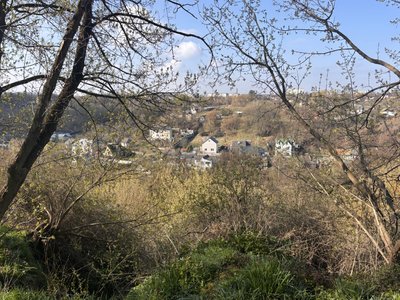 "В історичному центрі Житомира такий безлад", — краєзнавець Сергій Дехтяренко