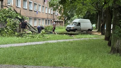У Сумах через негоду дерево впало на багатоповерхівку: деталі У Сумах через негоду дерево впало на багатоповерхівку: деталі