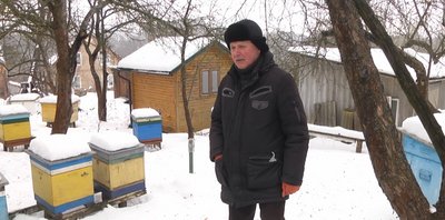 "Їм шкодять сойки та дятли": на Хмельниччині пасічники перевіряють, як бджоли пережили зимові морози
