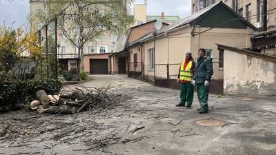 У Харкові прибирають повалені дерева