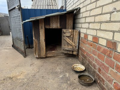 "Бабки готові їх вилами колоти". Як живе Стецьківка під щоденними російськими обстрілами