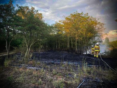 42 пожежі на Миколаївщині: вогонь охопив будинки, авто і відкриті території 42 пожежі на Миколаївщині: вогонь охопив будинки, авто і відкриті території