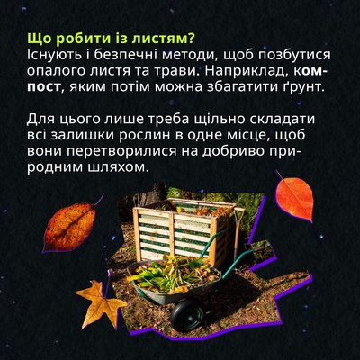 Запах осені: чому восени ми відчуваємо запах горілого? Запах осені: чому восени ми відчуваємо запах горілого?