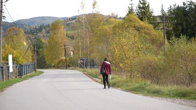 Листоноша Ірина Гриб Листоноша Ірина Гриб