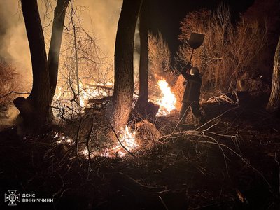 На Вінниччині за добу вигоріло 77 гектарів землі