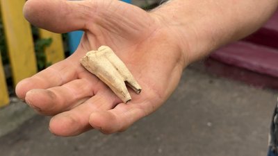 «Речам по 100 років, але бери і працюй»: житель Чернігівщини передав музею знаряддя праці своїх батька, діда та прадіда «Речам по 100 років, але бери і працюй»: житель Чернігівщини передав музею знаряддя праці своїх батька, діда та прадіда