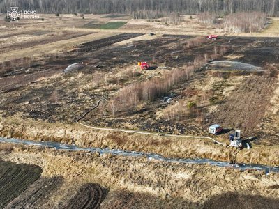 На Волині горів торф'яник: вогонь знищив На Волині горів торф'яник: вогонь знищив