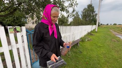 Чорничний сезон на Рівненщині завершать за два тижні Чорничний сезон на Рівненщині завершать за два тижні