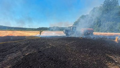 Горіли сухостій та сміття: на Черкащині протягом доби виникло 15 пожеж Горіли сухостій та сміття: на Черкащині протягом доби виникло 15 пожеж