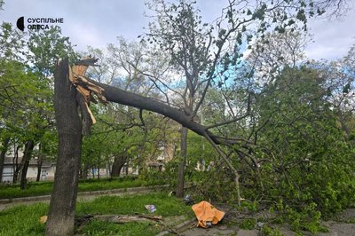 В Одесі через сильний вітер фіксують повалені дерева та пилову бурю, діє штормове попередження