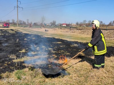На Вінниччині загинула жінка під час пожежі в екосистемі: подробиці На Вінниччині загинула жінка під час пожежі в екосистемі: подробиці