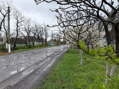 Вибух гранати на Синельниківщині: що розповідають очевидці Вибух гранати на Синельниківщині: що розповідають очевидці