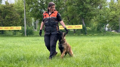 "Знайшли ледь притомну в лісосмузі": кінологи "Антарєс" врятували 86-річну бабусю "Знайшли ледь притомну в лісосмузі": кінологи "Антарєс" врятували 86-річну бабусю
