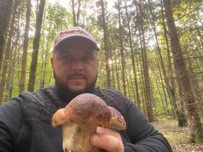 «Лише лінивий міг не назбирати собі грибів»: житомирянин Віктор Лісовський розповів про грибний сезон-2026 і знахідку