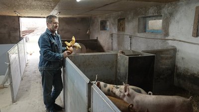 Ветеран з Вінниччини створив енергонезалежну ферму завдяки сонячним панелям Ветеран з Вінниччини створив енергонезалежну ферму завдяки сонячним панелям