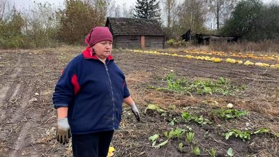 "Дуже страшно — дрон летить, ми вибираємо": як в Архипівці на Чернігівщині під обстрілами збирають гарбузове насіння "Дуже страшно — дрон летить, ми вибираємо": як в Архипівці на Чернігівщині під обстрілами збирають гарбузове насіння