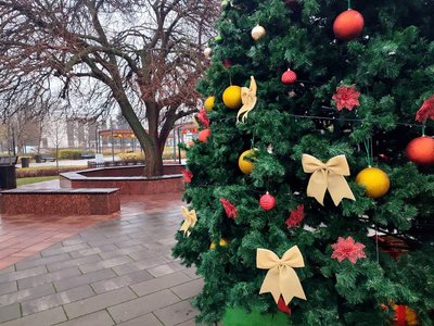 У Черкасах у сквері "Юність" встановили новорічну ялинку У Черкасах у сквері "Юність" встановили новорічну ялинку