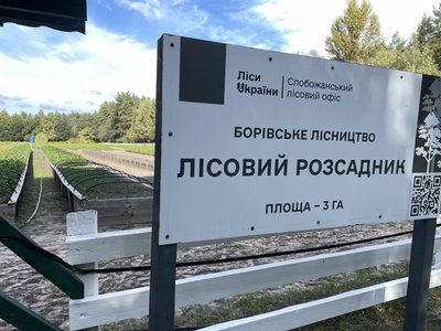 Восени лісівники Полтавщини планують висадити понад мільйон сіянців дерев Восени лісівники Полтавщини планують висадити понад мільйон сіянців дерев