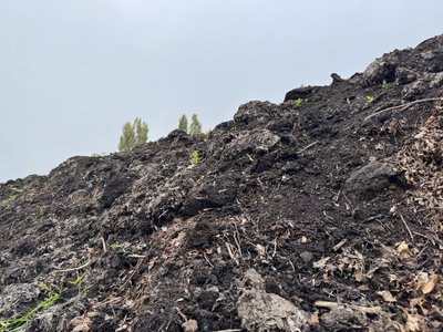 Прибирання опалого листя у Полтаві: чи можуть містяни утилізувати листя зі своїх дворів Прибирання опалого листя у Полтаві: чи можуть містяни утилізувати листя зі своїх дворів