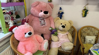 Понад п’ять тисяч експонатів: як жителька Миколаєва створила музей іграшок Понад п’ять тисяч експонатів: як жителька Миколаєва створила музей іграшок
