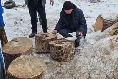 У дровах для школи знайшли борть із трьома кілограмами меду диких бджіл: історія з Олевська У дровах для школи знайшли борть із трьома кілограмами меду диких бджіл: історія з Олевська
