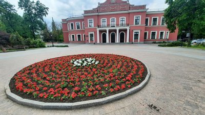 Сурфінії, бегонії, каланхое, герань: у Кропивницькому висадять майже 30 тисяч різних квітів Сурфінії, бегонії, каланхое, герань: у Кропивницькому висадять майже 30 тисяч різних квітів