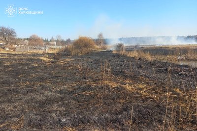 У Новопокровці Чугуївського району сталася пожежа в екосистемі через спалювання сухостою, 7 березня 2025