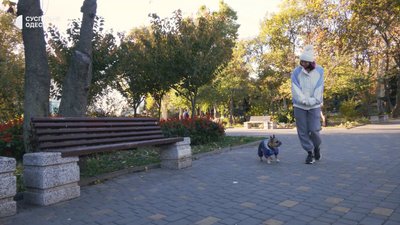 Півтори тисячі гривень за костюм для собаки: кого з улюбленців необхідно одягати цієї зими Півтори тисячі гривень за костюм для собаки: кого з улюбленців необхідно одягати цієї зими