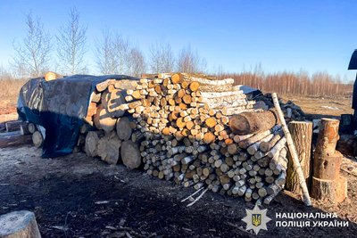 Незаконні піролізні печі та деревину вилучили на Рівненщині — поліція області Незаконні піролізні печі та деревину вилучили на Рівненщині — поліція області