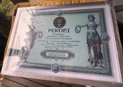 Рекорд Рекорд