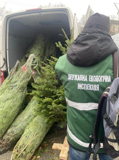 ялинка, новий рік, свято, рейд, штраф, правоохоронці, екоінспекція ялинка, новий рік, свято, рейд, штраф, правоохоронці, екоінспекція