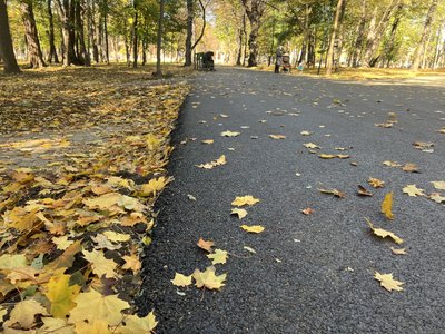 Доріжка у парку Шевченка в Чернівцях Доріжка у парку Шевченка в Чернівцях