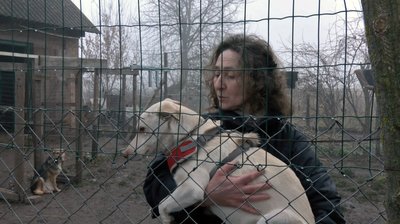 "Мажор з Дружківки". Як волинська волонтерка допомагає прилаштовувати собак з прифронтових територій
