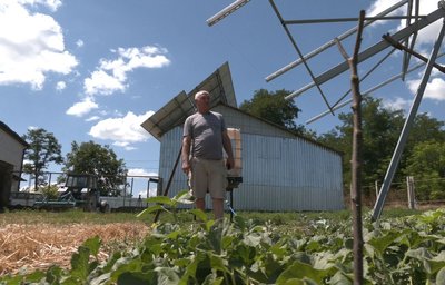 Не платять за світло і заробляють гроші: родина на Черкащині має сонячну електростанцію Не платять за світло і заробляють гроші: родина на Черкащині має сонячну електростанцію